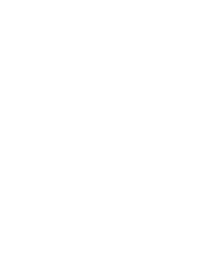 Tiktok Logo